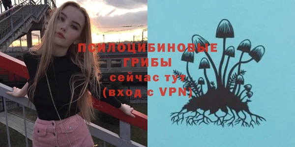 СК Нягань