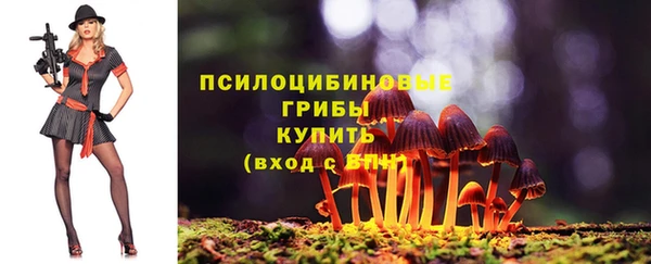 молекула духа Няндома
