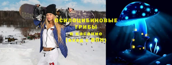 молекула духа Няндома