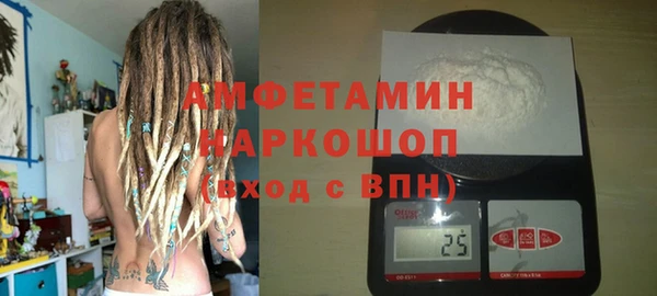 молекула духа Няндома