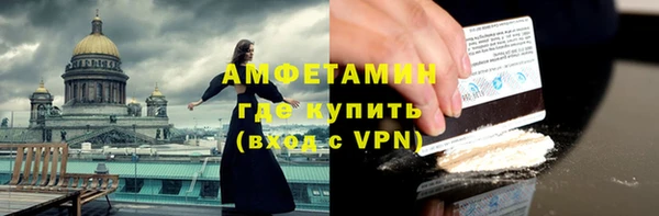 сатива Болхов