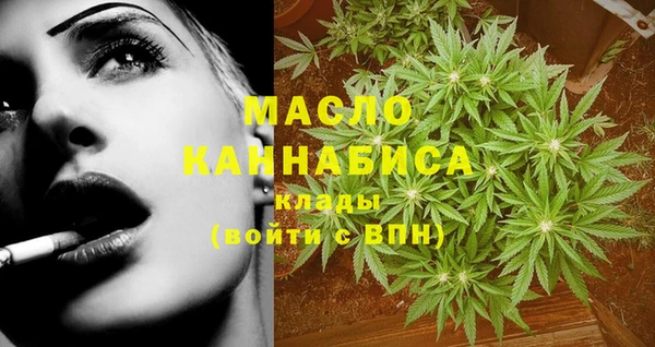 молекула духа Няндома