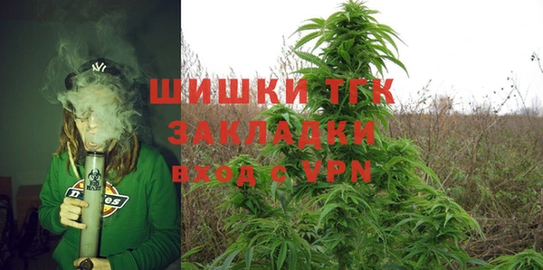 ALPHA PVP Осинники