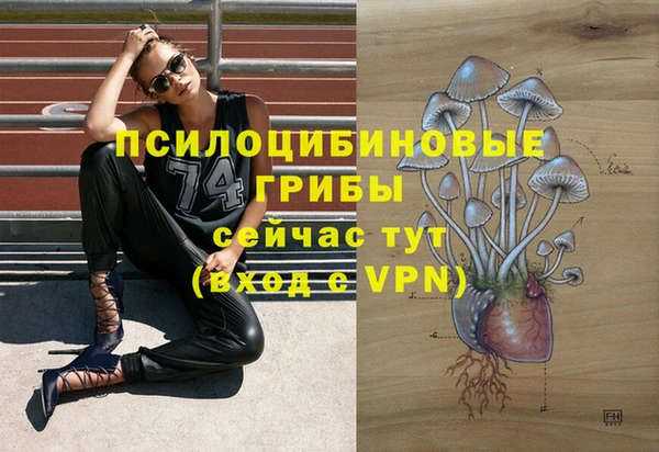 СК Нягань