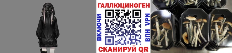 МЕГА вход  Змеиногорск  Галлюциногенные грибы ЛСД 